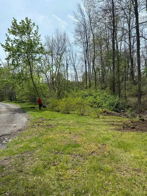 Landscape construction project in Norfolk, MA by LD Landscape & Construction — photo 21