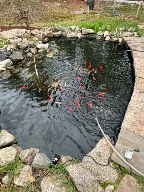 Landscape construction project in Norfolk, MA by LD Landscape & Construction — photo 19