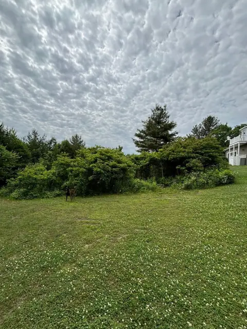 Landscape construction project in Norfolk, MA by LD Landscape & Construction — photo 5
