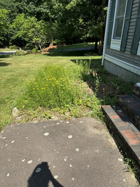 Asphalt Walkway Replaced With Pavers & Flower Beds in Norfolk, MA by LD Landscape & Construction — photo 2