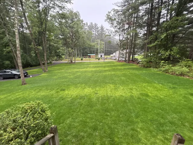 Three Quarter Acre Woods-to-Lawn Transformation in Norfolk, MA by LD Landscape & Construction — photo 3