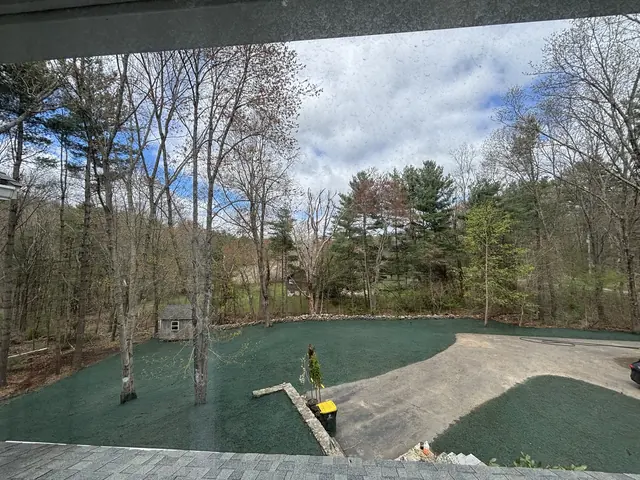 Three Quarter Acre Woods-to-Lawn Transformation in Norfolk, MA by LD Landscape & Construction — photo 1